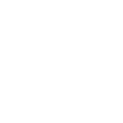 Professional Icon
